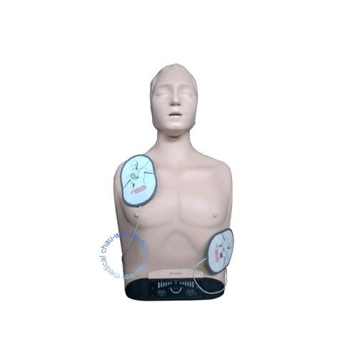 CPR,半身安妮,LED燈號